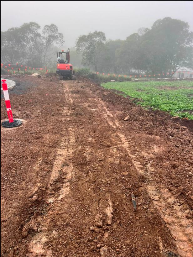 Early-morning access track cut
